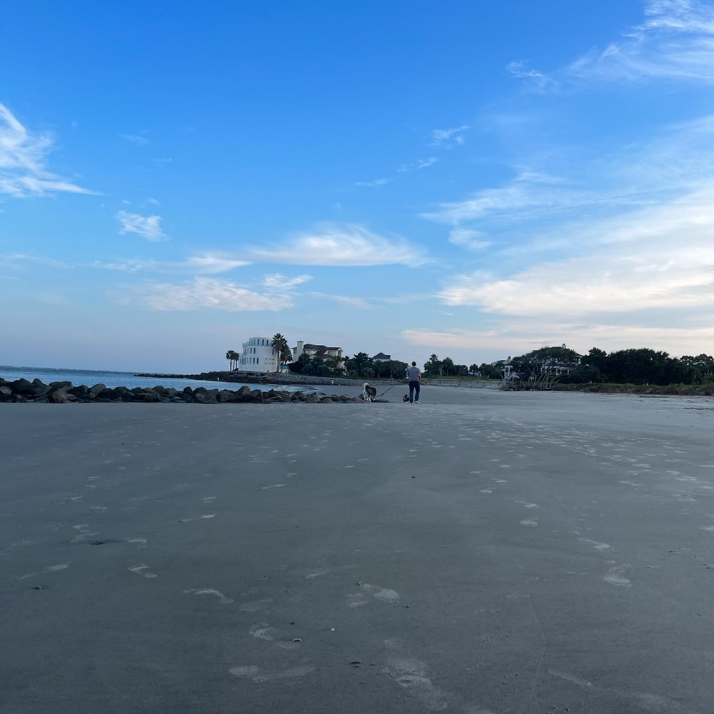 Meet your Posher, Alexus